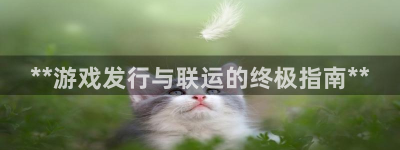 新航娱乐的股东名单和背景介绍是什么：**游戏发行与联运的终极指南**