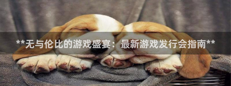 新航娱乐集团最新消息新闻：**无与伦比的游戏盛宴：最新游戏发行会指南**