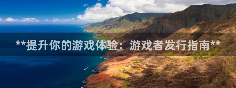 新航娱乐官网下载：**提升你的游戏体验：游戏者发行指南**
