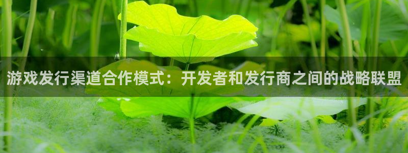 新航娱乐的创始人简介资料：游戏发行渠道合作模式：开发者和发行商之间的战略联盟