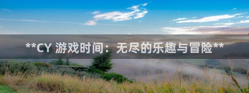 新航娱乐的创始人是谁啊：**CY 游戏时间：无尽的乐趣与冒险**