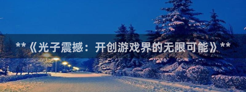 新航娱乐公司简介和历史背景介绍：**《光子震撼：开创游戏界的无限可能》**
