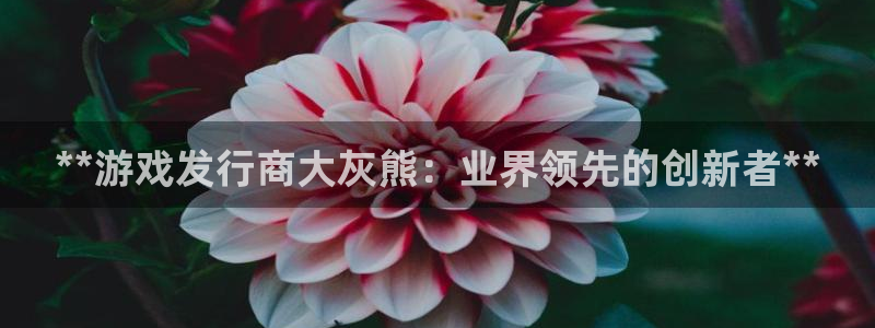 新航娱乐元哥：**游戏发行商大灰熊：业界领先的创新者**