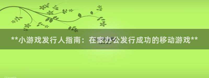 新航娱乐有限公司最新活动信息：**小游戏发行人指南：在家办公发行成功的移动游戏**