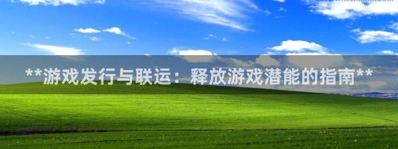 新航娱乐的员工工资福利及待遇：**游戏发行与联运：释放游戏潜能的指南**