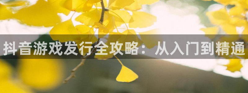 新航娱乐app手机版官网下载：抖音游戏发行全攻略：从入门到精通