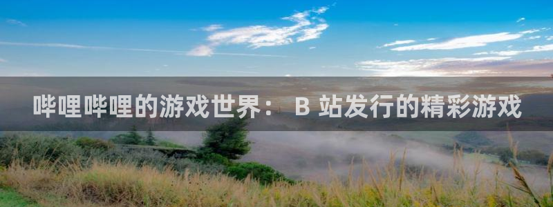 新航娱乐直开.中国手机版安卓版介绍：哔哩哔哩的游戏世界： B 站发行的精彩游戏
