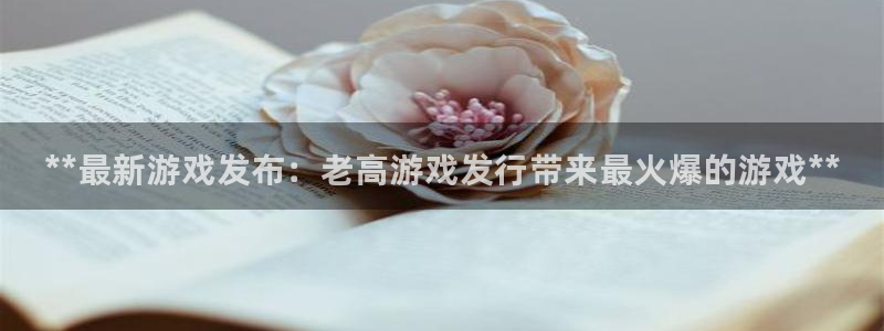 新航娱乐的员工工资福利及待遇怎么样：**最新游戏发布：老高游戏发行带来最火爆的游戏**