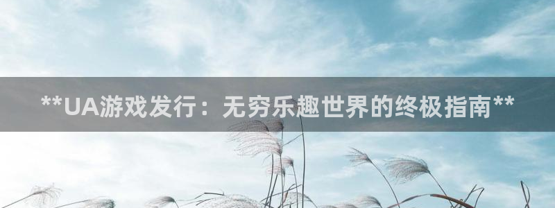 新航娱乐的员工工资福利及待遇如何