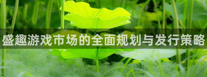 新航娱乐背后的老板叫什么