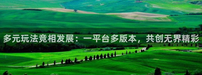 新航娱乐总代理是谁：多元玩法竞相发展：一平台多版本，共创无界精彩