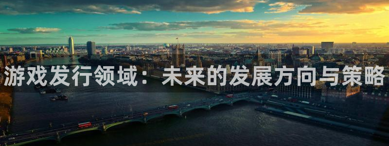 新航娱乐的创始人简介是谁：游戏发行领域：未来的发展方向与策略