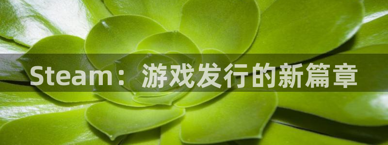 新航娱乐扣款7IIII2：Steam：游戏发行的新篇章