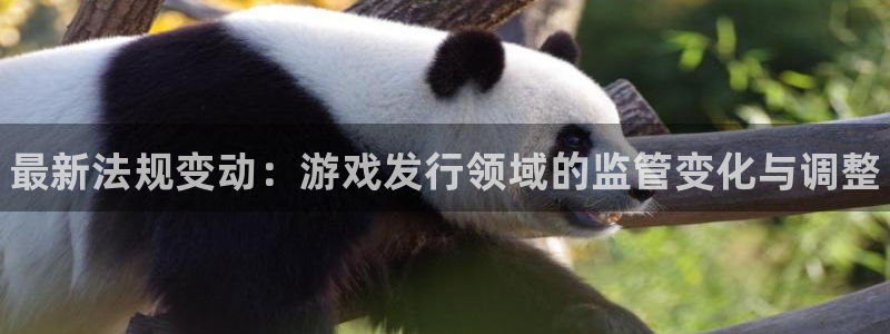 新航娱乐公司简介和历史背景分析：最新法规变动：游戏发行领域的监管变化与调整
