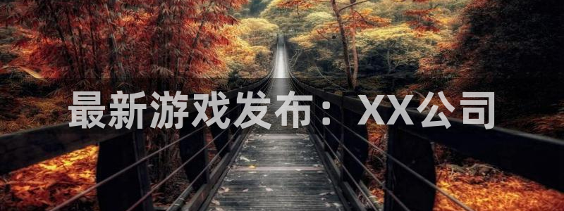 新航娱乐招商碰回复 485624 多少钱：最新游戏发布：XX公司