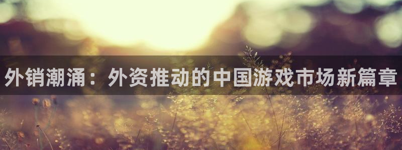 新航娱乐的背景和历史背景：外销潮涌：外资推动的中国游戏市场新篇章