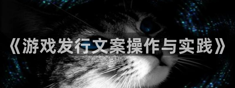 新航娱乐扣款后还能重新扣：《游戏发行文案操作与实践》