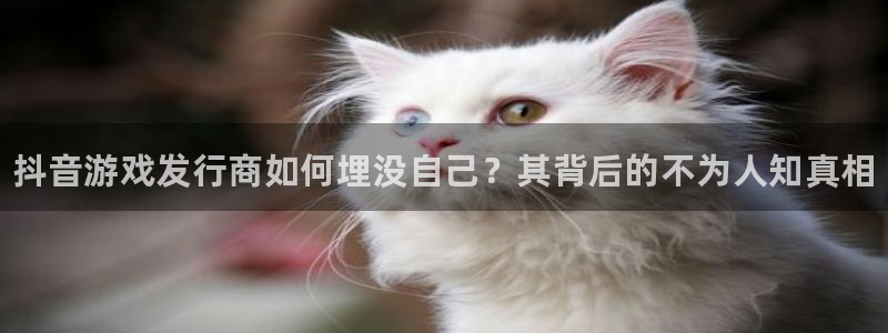 新航娱乐平台最新版本更新内容