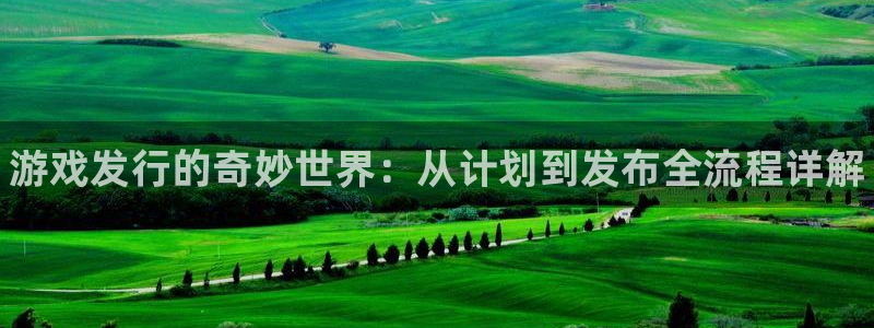 新航娱乐app官方免费下载苹果：游戏发行的奇妙世界：从计划到发布全流程详解