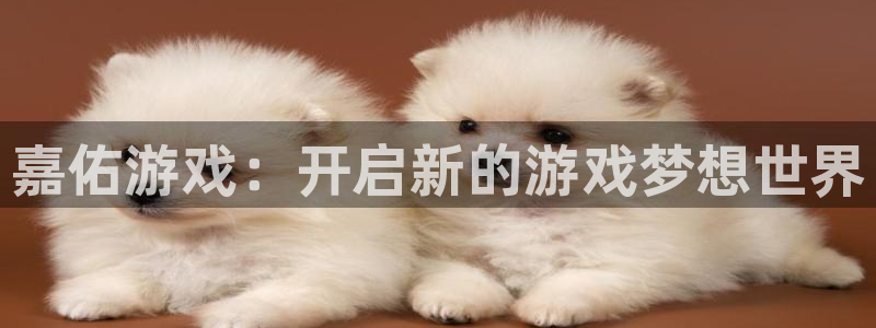 新航娱乐官网最新版本更新内容