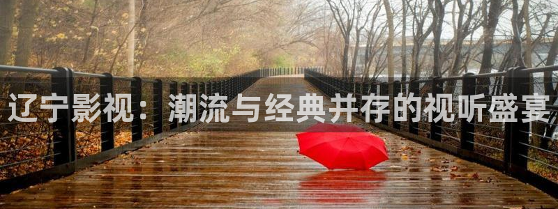 五杀影院在线观看：辽宁影视：潮流与经典并存的视听盛宴