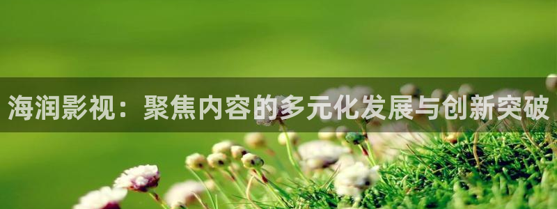 五杀影院在线观看免费播放：海润影视：聚焦内容的多元化发展与创新突破
