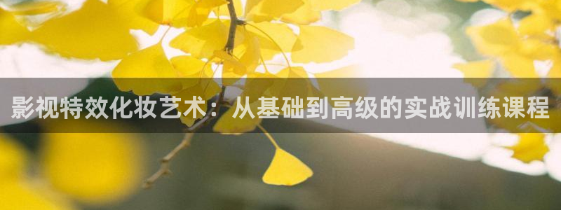五杀影院电影大全：影视特效化妆艺术：从基础到高级的实战训练课程